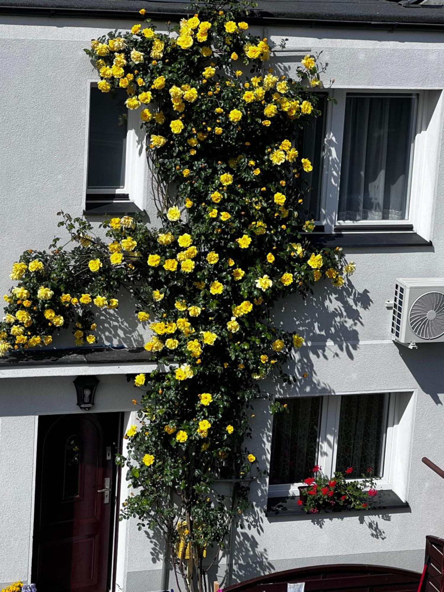 Szyper Apartment Jastarnia Exterior foto